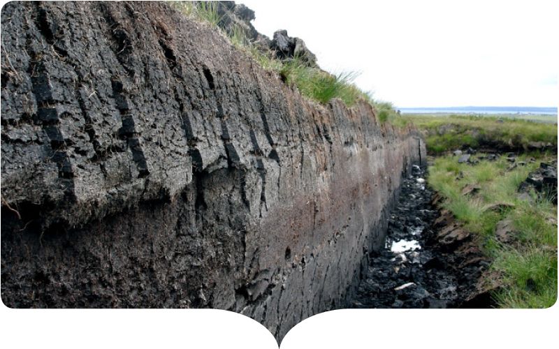 泥炭開采未引起人們的注意