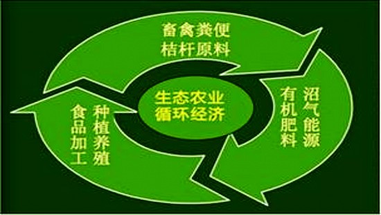 綠色環保，循環經濟報告