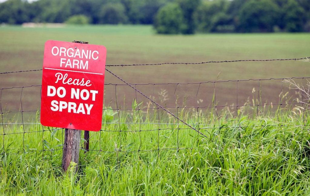 有機(jī)農(nóng)業(yè)會(huì)不會(huì)降低農(nóng)作物的產(chǎn)量_綠康有機(jī)肥