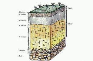 表土和底土與基巖之間有什么區別? 表土和底土與基巖之間有什么區別?