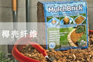 椰子纖維是泥炭土真正的環保替代介質嗎? 椰子纖維是泥炭土真正的環保替代介質嗎?