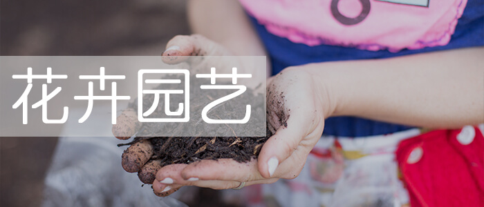 花卉園藝_綠康有機肥