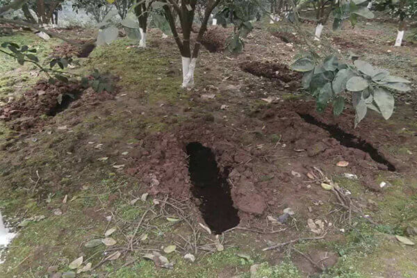 生物有機肥料_有機肥_有機肥料