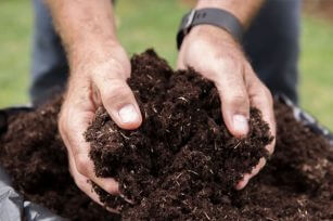 農村羊糞發酵步驟有哪些? 農村羊糞發酵步驟有哪些?