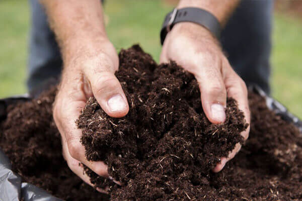 生物有機肥_生物有機肥廠家_生物有機肥公司