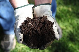 “不同類型的有機肥在施用上的區別——專家解析有機農業的奧秘” “不同類型的有機肥在施用上的區別——專家解析有機農業的奧秘”