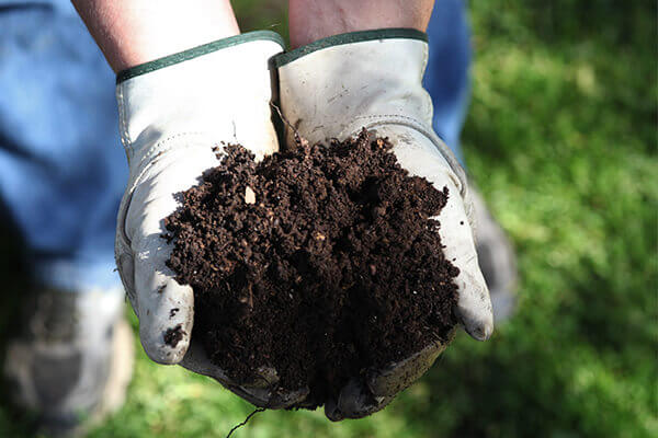 生物菌劑_微生物菌肥_有機(jī)肥