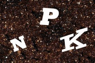 有機肥能否替代化肥的作用? 有機肥能否替代化肥的作用?